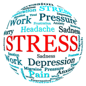 Do You Know the Common Causes of Stress Induced Disease?
