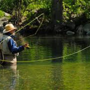 Fly Fishing Down The South Holston, Check!